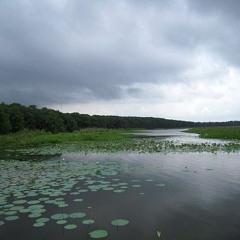 130 Kite In The Sky Base Roads Mix Working