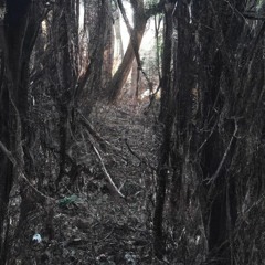 Hell Nah 2 (Granada) + Prod.  Symbol