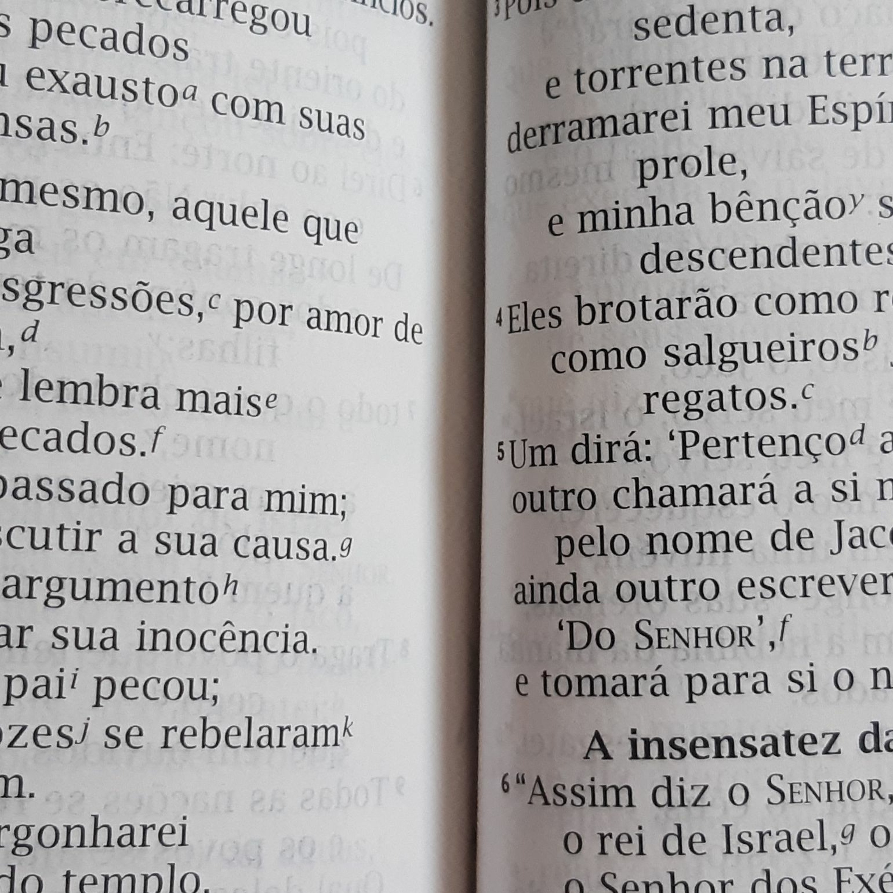 Espada de dois gumes