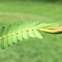Tere ishq mein sab kho baitha hoo/Tujhse Preet Lagai- uddariyaan