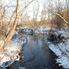 Theme for piano and strings in Emin