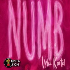 Vybz Kartel - Numb EP Mix (Full) - Dj Mistakom (2023)