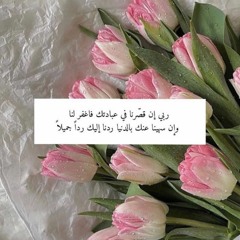 سورة النور / شريف مصطفى