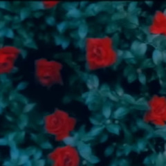 ここでキスして。 × SATELLITE(feat. CHE & Yonko)