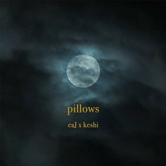 EaJ X Keshi Pillows