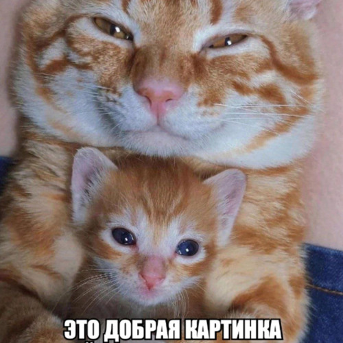 ★ ✃ ✁ ✃ ★