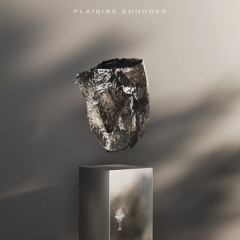 Savvas - Point in Time [Plaisirs Sonores Records]