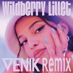 Nina Chuba - Wildberry Lillet (VENIK Remix)