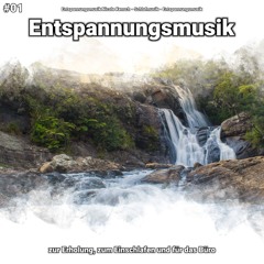 Entspannungsmusik, Pt. 67