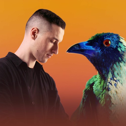 Flume feat. MAY-A - Say Nothing (Millbrook Remix)