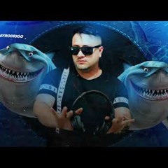 VEM FAZENDO HEEEEIII, HOOOUUU - Mc Delux e Mc Vitin Dz7 (DJ Roca e DJ Alef Rodrigo)
