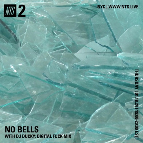 DJ DUCKY: DIGITAL FUCK MIX FOR NO BELLS NTS (1-18-24)