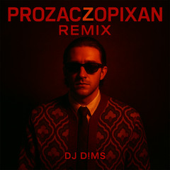 VALD - PROZACZOPIXAN  (DJ D!MS REMIX)