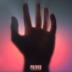 PRINCE [NextGen Sample Challenge]