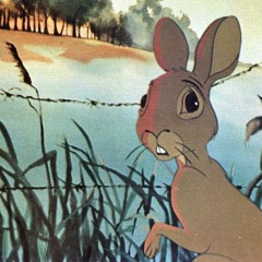 Tribute for a rabbit that I accidentally hit with my car
