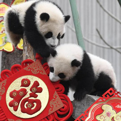 Taboo Tracks and Talk 12/28/25