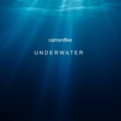 camsn8ke - Underwater