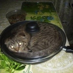 castlevania x playboi carti - way 2 hell