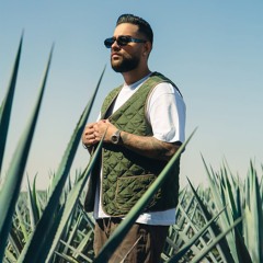 Karan Aujla New Song 48 Rhymes