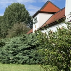 راشد الماجد الاولاني قطر 2000