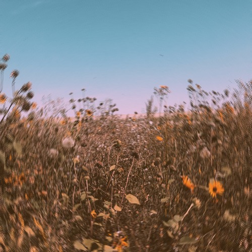 talk.exe (prod. stoic)