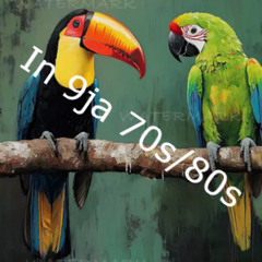 BONGOS IKWE- STIL SEARCHING