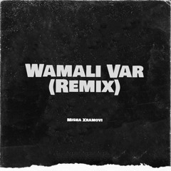 Misha Xramovi - Wamali Var (Remix)