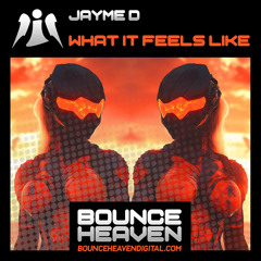 Jayme D - What It Feels Like [sample].mp3