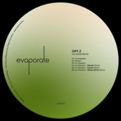 PREMIERE: Ort.z - Un Random (Offset (ECU) Remix) [ZFD013]