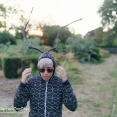 King Henry short story with music