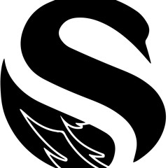 BLK SWAN VIP GRAND OPENING MIX