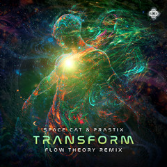 Space Cat & Prastix - Transform (Flow Theory Remix)