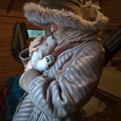 Maailmalta Piilossa ( 2020 )