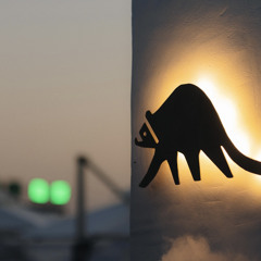 Racoon Lounge Nebug August'24