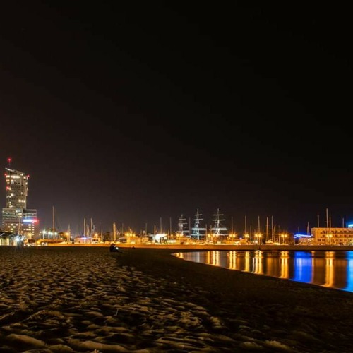 Przedświt / Carpe Noctem