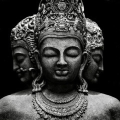 Maya Trip