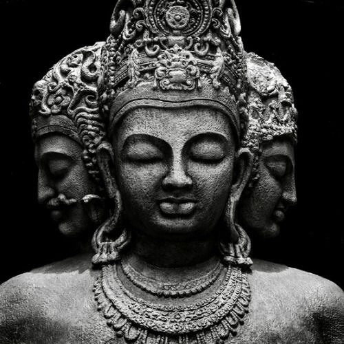 Maya Trip