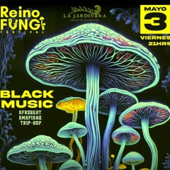 Brava - Festival Reino Fugi | 2024