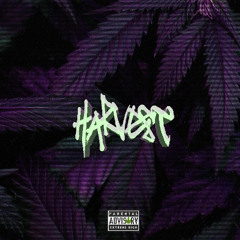Harvest (prod. by UGLYKILLAH)
