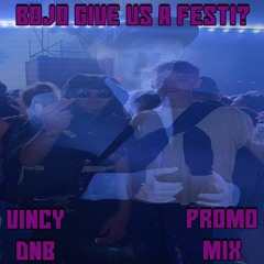 Bojo Give Us A Festi? Vincy Promo Mix