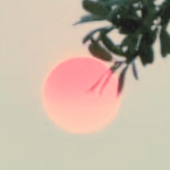 Indie BANGERS 25 💥