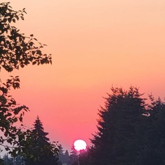 Best For My Health Free Style