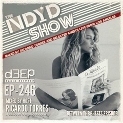 The NDYD Radio Show EP246