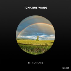 Ignatius Wang - Mindport (Extended Mix)