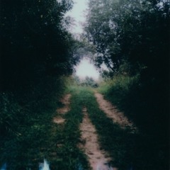 Field [For Ukraine (Volume 1) Compilation]