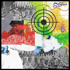 FWD Transmissions: SHE Spells Doom - Drums Of Affliction