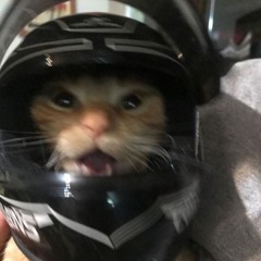 mieaow