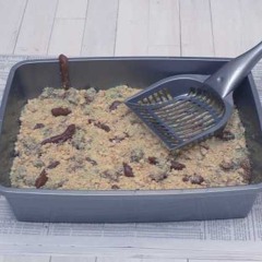 LDSR #201 The Litter Tray