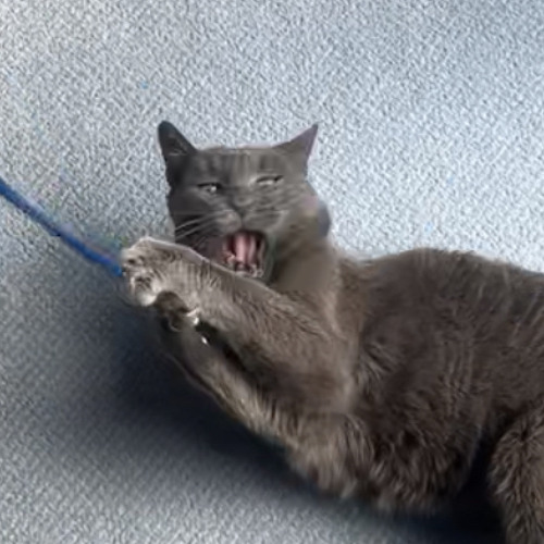 i dont (yk + hil6)#v4L