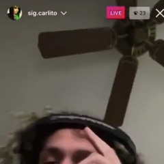 sig.carlito - penguin ** snippet